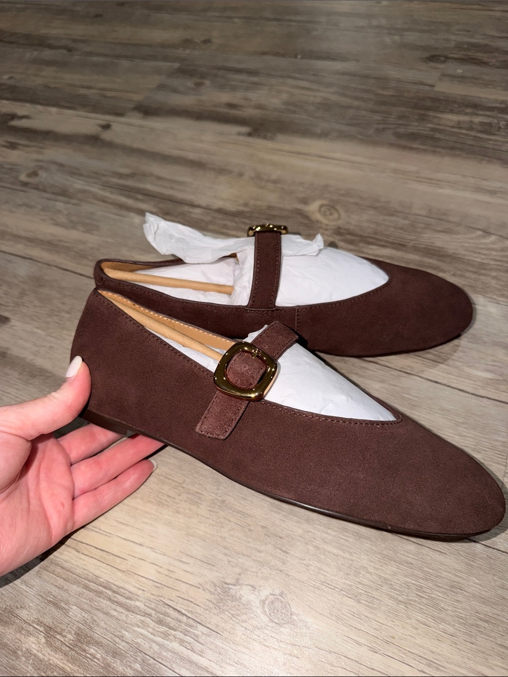 Madewell Brown Suede Mary Jane Loafers with Gold Buckle